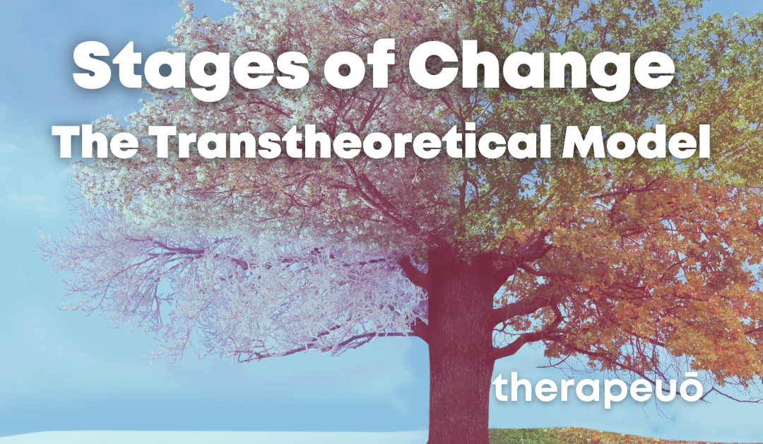 Stages of Change: The Transtheoretical Model