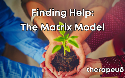 Finding Help: The Matrix Model