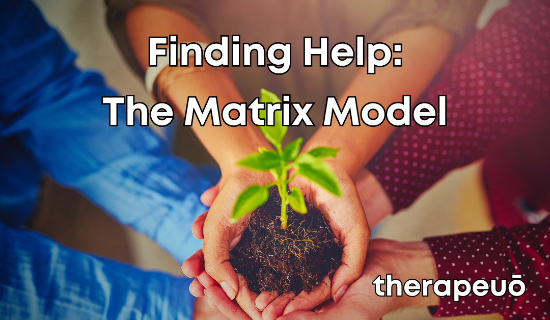 Finding Help: The Matrix Model