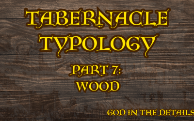 Tabernacle Typology 7: Wood