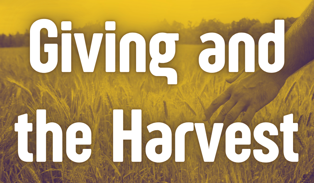 Giving and the Harvest