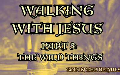 Walking With Jesus 3: The Wild Things (Mark 1:12-13)