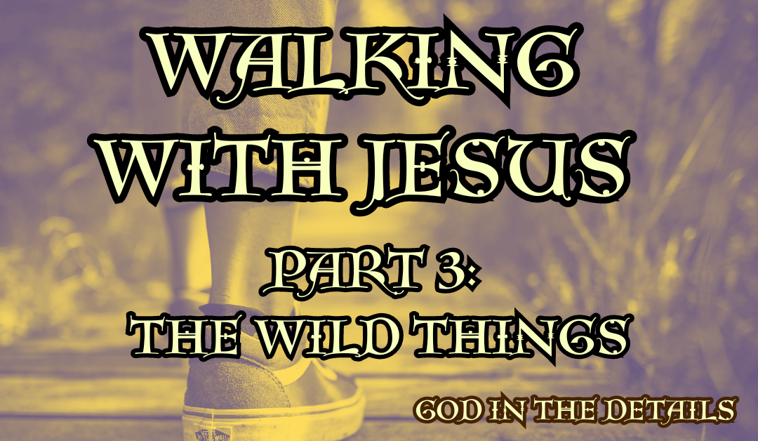 Walking With Jesus 3: The Wild Things (Mark 1:12-13)