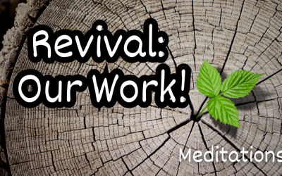 Revival: Our Work